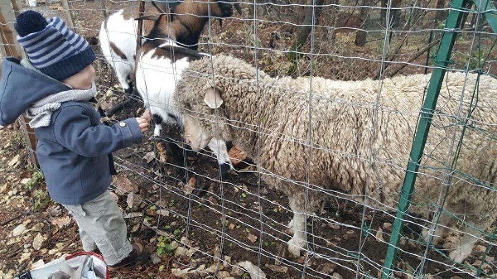 Activités ferme de Tiavan